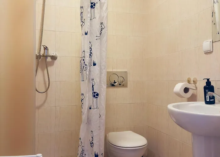 Goscinne Becia Homestay szállás *