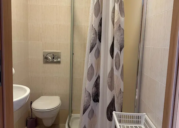 Goscinne Becia Homestay szállás *